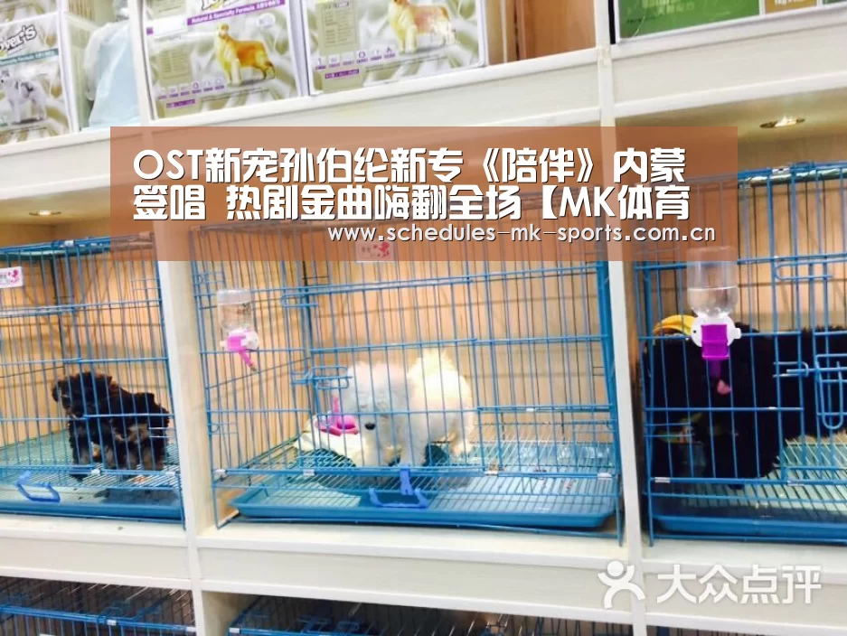 OST新宠孙伯纶新专《陪伴》内蒙签唱 热剧金曲嗨翻全场【MK体育App官网入口 】(图1) MK体育App官网入口
